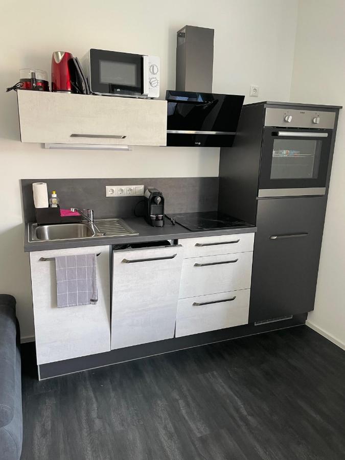 Apartments Saaldorf-Ferienhaus Mit 6 Apartments 45Qm-120Qm Direkt Am Thueringer Meer-Bleilochtalsperre Бад-Лобенштайн Екстер'єр фото