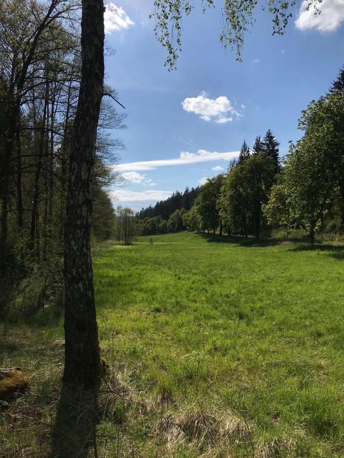 Apartments Saaldorf-Ferienhaus Mit 6 Apartments 45Qm-120Qm Direkt Am Thueringer Meer-Bleilochtalsperre Бад-Лобенштайн Екстер'єр фото